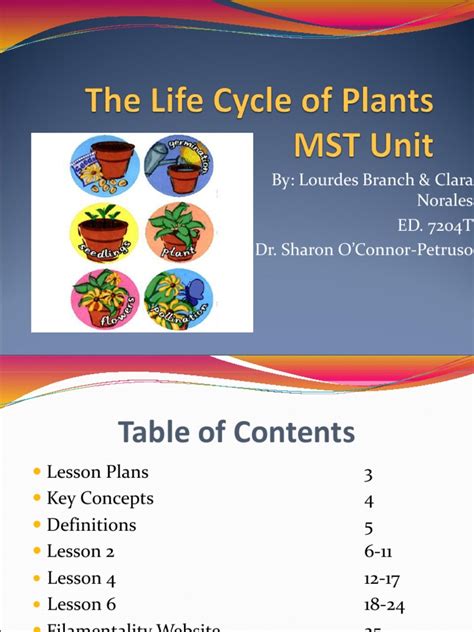 The Life Cycle of Plants MST Unit PDF Seed Plants - Scribd