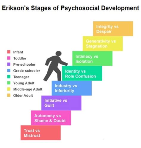 The Lifespan Perspective Lifespan Development - Life Span Development …