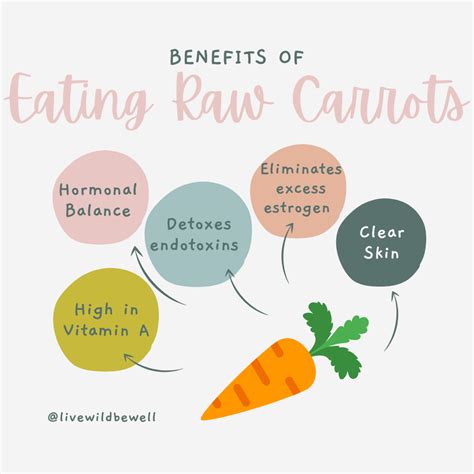 The List Of 20+ Can Pregnant Ladies Eat Raw Carrots