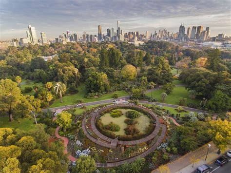 The Living Collection at the Royal Botanic Garden …