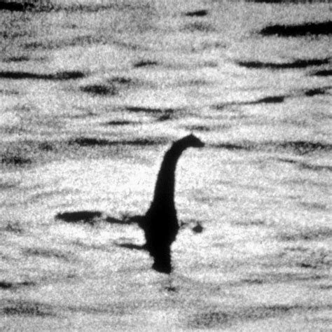 The Loch Ness monster video: ‘The best footage in decades!’ Or …