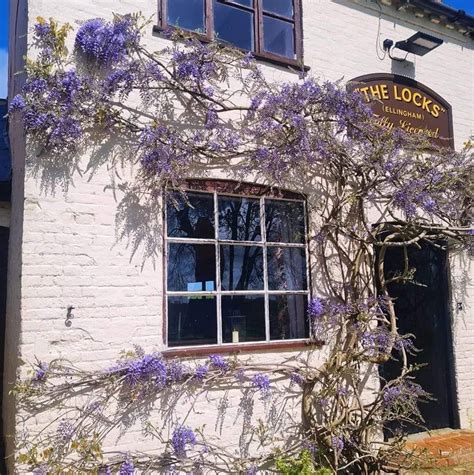 The Locks Inn Community Pub Beccles - Facebook