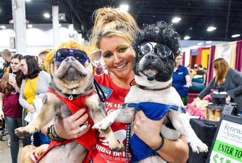 The Long Island Pet Expo