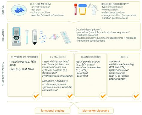The MISEV2018 guidelines include tables