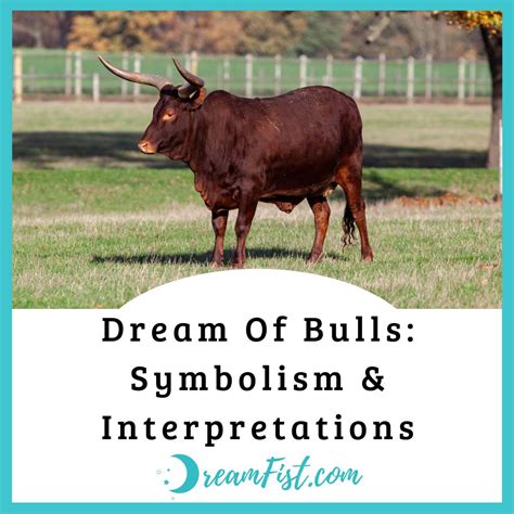 The Meaning and Interpretation of Dreams About Bulls