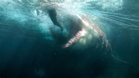 The Meg, megalodon sharks: the truth explained news.com.au ...