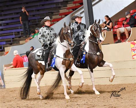 The Midwest Horse Fair - Horse and Rider