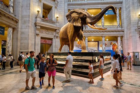 The Most Famous Natural History Museums In The USA