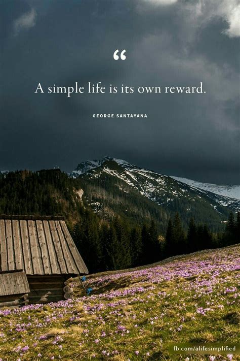 The Most Memorable Quotes From The Simple Life - E! Online