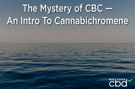 The Mystery of CBC — An Intro To Cannabichromene