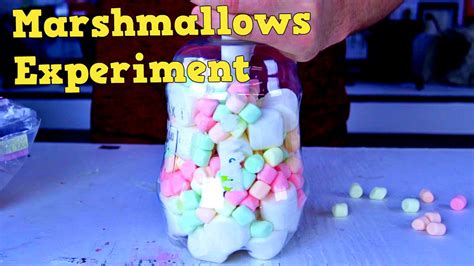 The Power of Intention: Manifesting with Talismans and Marshmallows