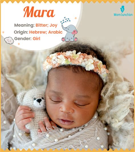 The Name Mara : popularity, meaning and origin, popular …