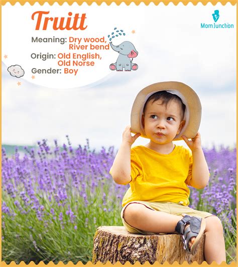 The Name Truitt : popularity, meaning and origin, popular baby …