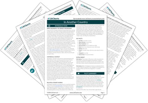 The Narrator Character Analysis in In Another Country LitCharts