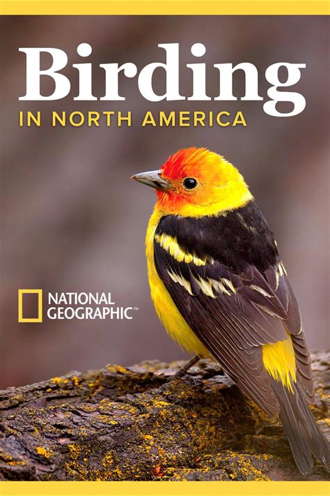 The National Geographic Guide to Birding in North America - YouTube