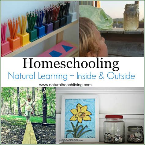 The Natural Homeschool - Living and learning the natural way