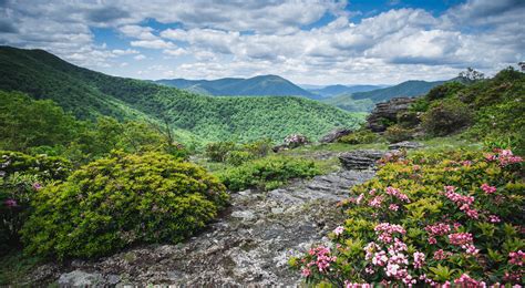 The Nature Conservancy in North Carolina