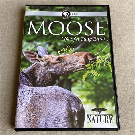 The Nature Program Enthusiast Turns 100
