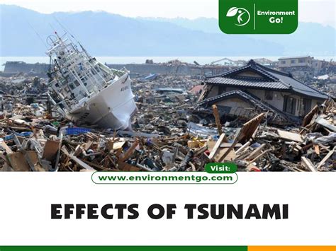 The Negative Effects of Tsunamis - Health FAQ