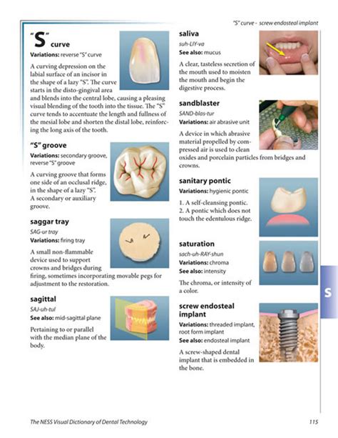 The Ness Visual Dictionary of Dental Technology ptc-.