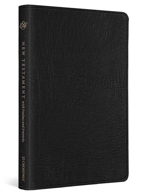 Read The New Testament