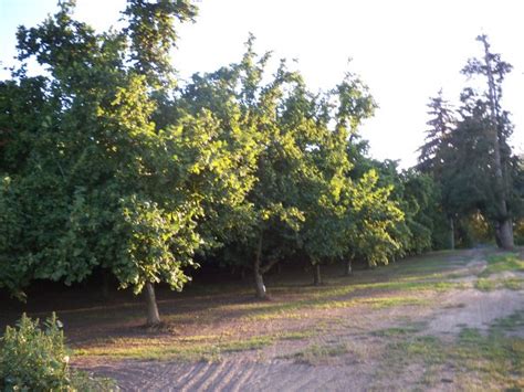 The Nutberry Farm, 5522 66th Avenue NE, Salem, OR (2024)