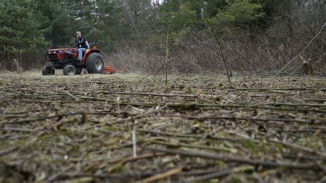 The ONLY food plot you need to plant - TenPoint