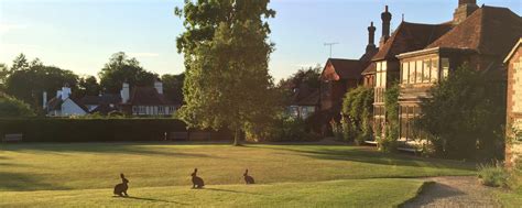 The Oates Collections - Gilbert Whites House