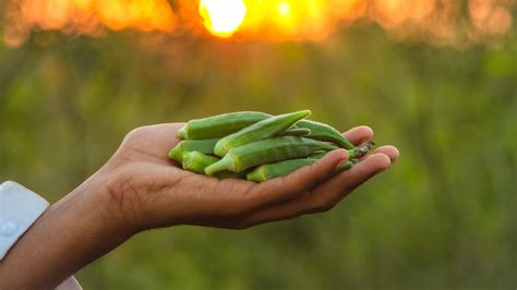 The Okra Cutting Trick That Eliminates Sliminess