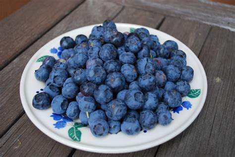 The Organic Premium for California Blueberries - ResearchGate