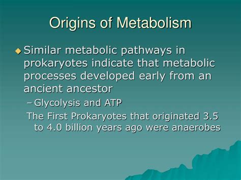 The Origin of Metabolism SpringerLink