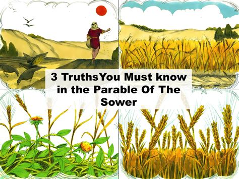 The Parable of the Sower - Bible Verses a…