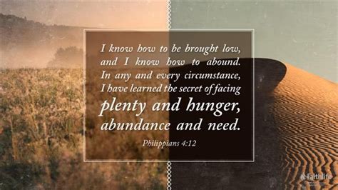 The Paradox Of Hunger And Abundance What Have We Learned