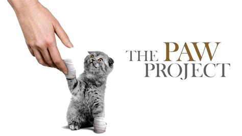 The Paw Project Movie