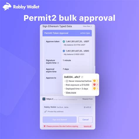 The Permit2 Transaction: A Key to the Drain