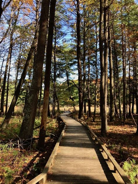 The Peverly Pond Loop Is An Easy And Beautiful Fall