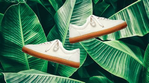 The Plant-Powered Revolution in Footwear: Discover Aloe Shoes