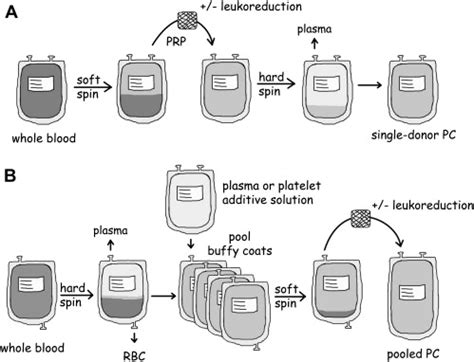 The Platelet Storage Lesion - The Clinics