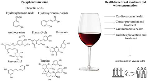 The Potential Health Benefits Of Polyphenols From Wine Grapes