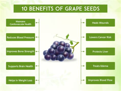 The Potential Health Benefits of Grape Seed Extract