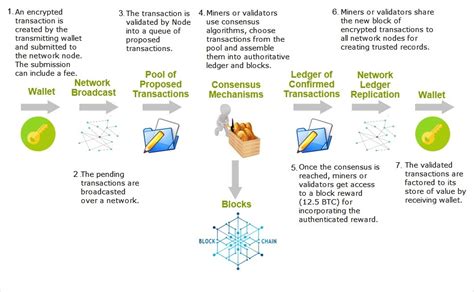 The Potential of Blockchain Integration on Twitter