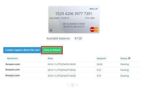 The Power of Blur Masked Cards: Privacy and Security Features