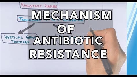 The Problem of Antibiotic Resistance - YouTube