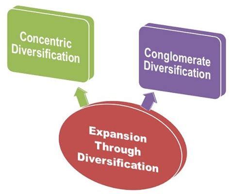 The Process of Growth, Diversification and Expansion