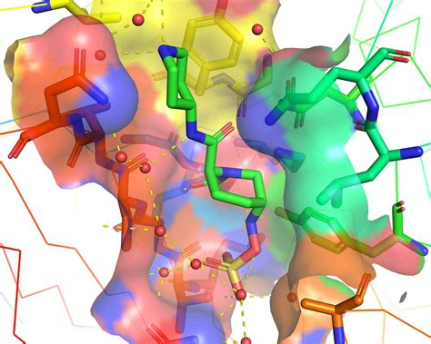 The Process of Structure-Based Drug Design