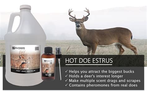 The Pros And Cons Of Using Estrous When Deer Hunting