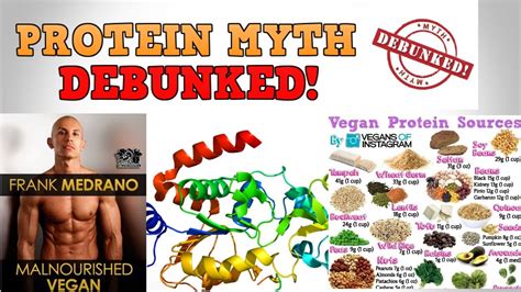 The Protein Myth