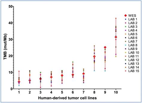 The QIAseq tumor mutational burden (TMB) bioinformatics workflow