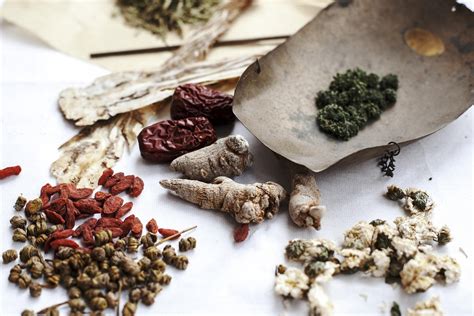 The Quality and Safety of Chinese Herbs in the …