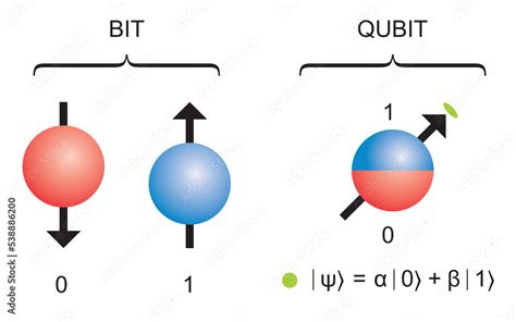 The Qubit – e.